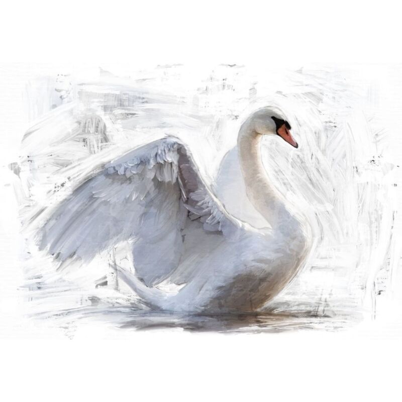 White Swan (Ανεστραμμένο)