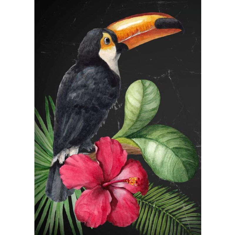 Toucan