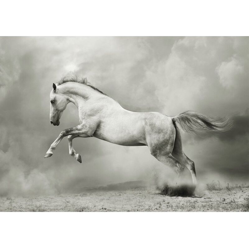 White Horse