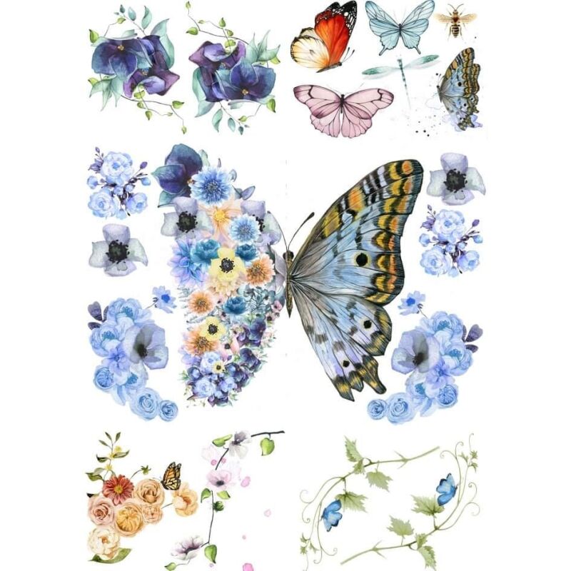 Metamorphosis transfer