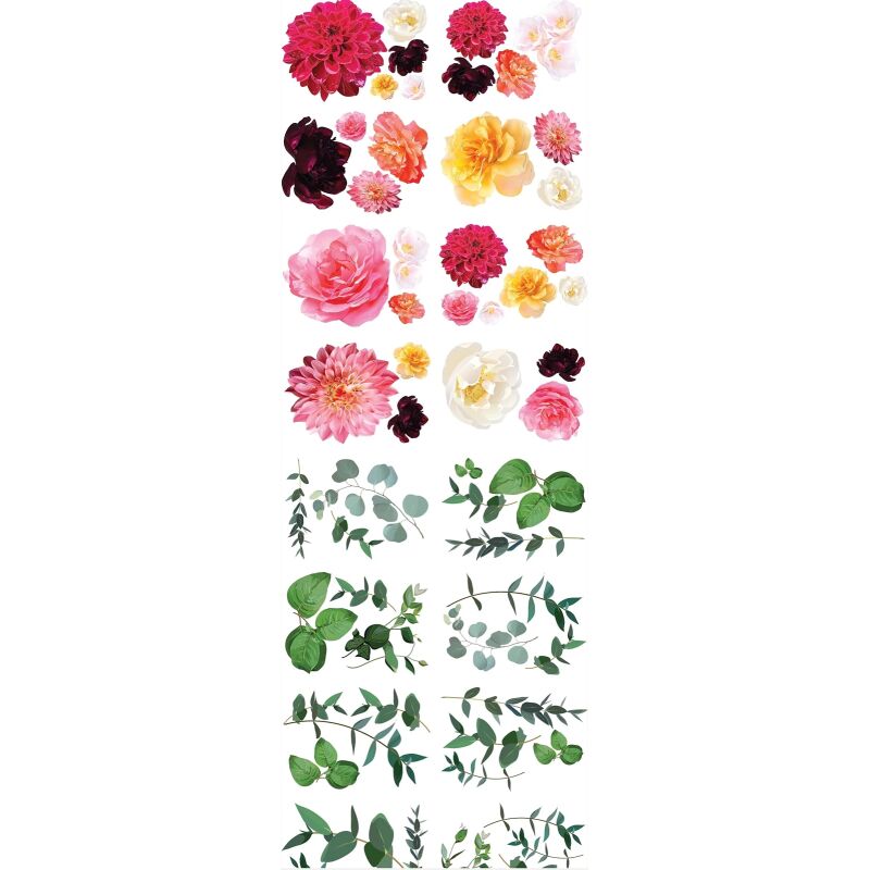 Splendid Flora transfer